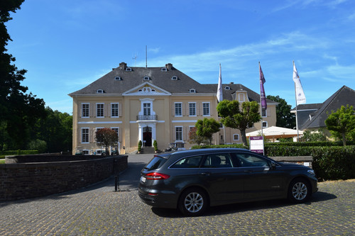 Schloss Miel.