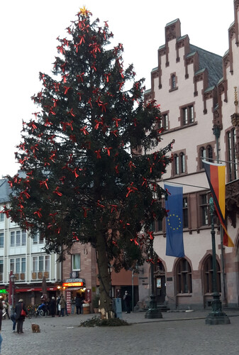 Der Weihnachtsbaum vor dem Frankfurter Römer.